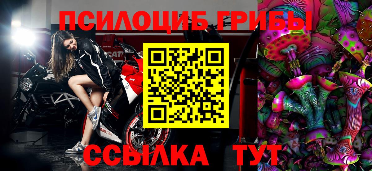 Псилоцибиновые грибы прущие грибы  Вход с VPN  купить наркотик  Шадринск 